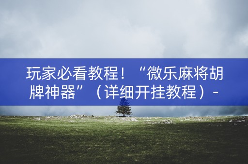 玩家必看教程！“微乐麻将胡牌神器”（详细开挂教程）-哔哩哔哩