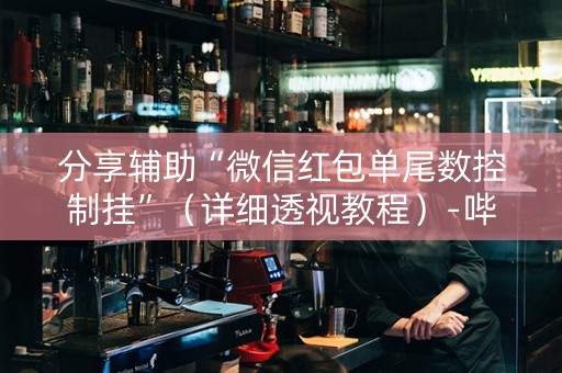分享辅助“微信红包单尾数控制挂”（详细透视教程）-哔哩哔哩