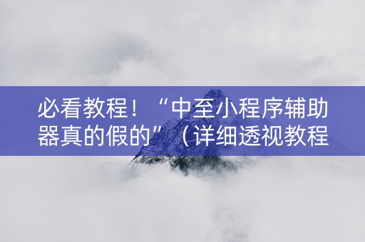 必看教程！“中至小程序辅助器真的假的”（详细透视教程）-哔哩哔哩