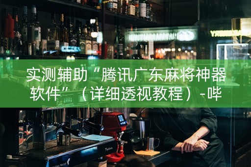 实测辅助“腾讯广东麻将神器软件”（详细透视教程）-哔哩哔哩