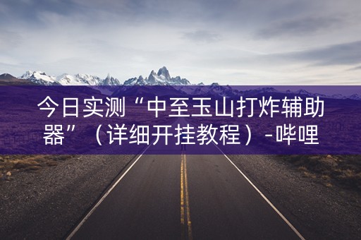 今日实测“中至玉山打炸辅助器”（详细开挂教程）-哔哩哔哩