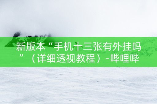 新版本“手机十三张有外挂吗”（详细透视教程）-哔哩哔哩