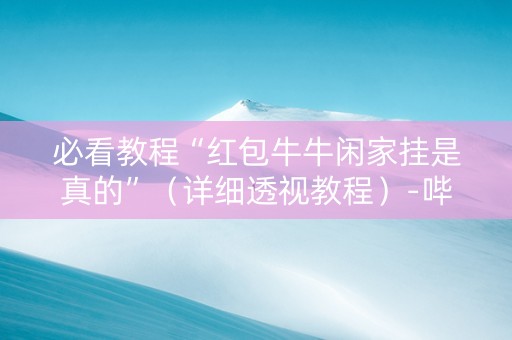 必看教程“红包牛牛闲家挂是真的”（详细透视教程）-哔哩哔哩