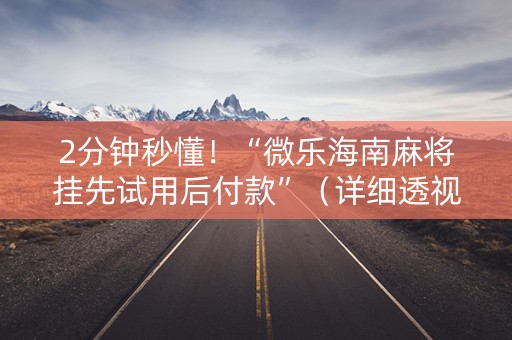 2分钟秒懂！“微乐海南麻将挂先试用后付款”（详细透视教程）-哔哩哔哩