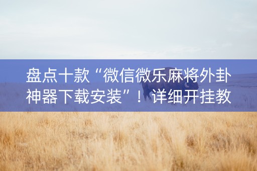 盘点十款“微信微乐麻将外卦神器下载安装”！详细开挂教程（确实真的有挂)-知乎