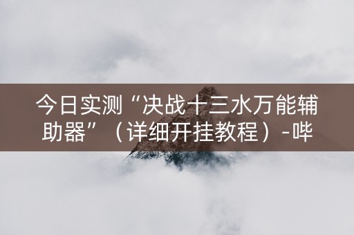今日实测“决战十三水万能辅助器”（详细开挂教程）-哔哩哔哩