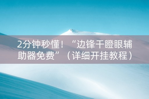 2分钟秒懂！“边锋干瞪眼辅助器免费”（详细开挂教程）-哔哩哔哩