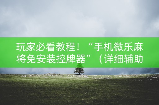 玩家必看教程！“手机微乐麻将免安装控牌器”（详细辅助教程）-哔哩哔哩