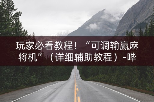 玩家必看教程！“可调输赢麻将机”（详细辅助教程）-哔哩哔哩