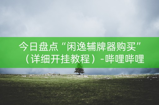 今日盘点“闲逸辅牌器购买”（详细开挂教程）-哔哩哔哩