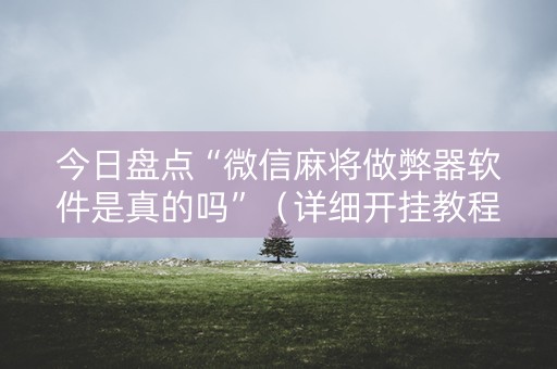 今日盘点“微信麻将做弊器软件是真的吗”（详细开挂教程）-哔哩哔哩