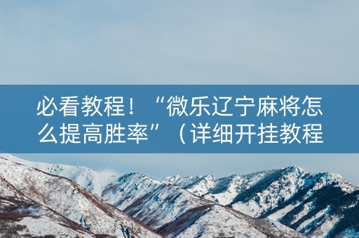 必看教程！“微乐辽宁麻将怎么提高胜率”（详细开挂教程）-哔哩哔哩