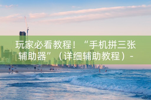 玩家必看教程！“手机拼三张辅助器”（详细辅助教程）-哔哩哔哩