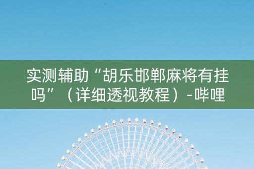 实测辅助“胡乐邯郸麻将有挂吗”（详细透视教程）-哔哩哔哩