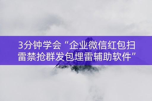 3分钟学会“企业微信红包扫雷禁抢群发包埋雷辅助软件”（详细透视教程）-哔哩哔哩