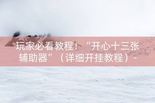 玩家必看教程！“开心十三张辅助器”（详细开挂教程）-哔哩哔哩