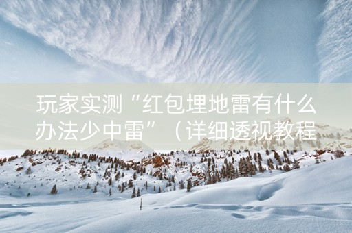 玩家实测“红包埋地雷有什么办法少中雷”（详细透视教程）-哔哩哔哩