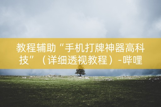教程辅助“手机打牌神器高科技”（详细透视教程）-哔哩哔哩