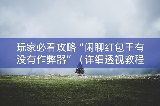玩家必看攻略“闲聊红包王有没有作弊器”（详细透视教程）-哔哩哔哩