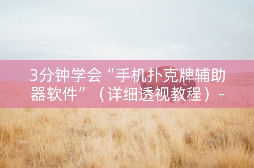 3分钟学会“手机扑克牌辅助器软件”（详细透视教程）-哔哩哔哩