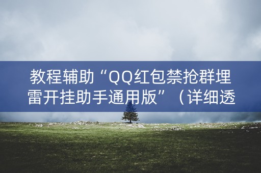 教程辅助“QQ红包禁抢群埋雷开挂助手通用版”（详细透视教程）-哔哩哔哩