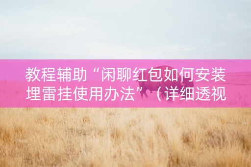 教程辅助“闲聊红包如何安装埋雷挂使用办法”（详细透视教程）-哔哩哔哩