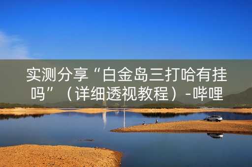 实测分享“白金岛三打哈有挂吗”（详细透视教程）-哔哩哔哩