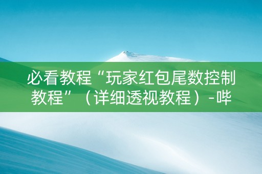 必看教程“玩家红包尾数控制教程”（详细透视教程）-哔哩哔哩