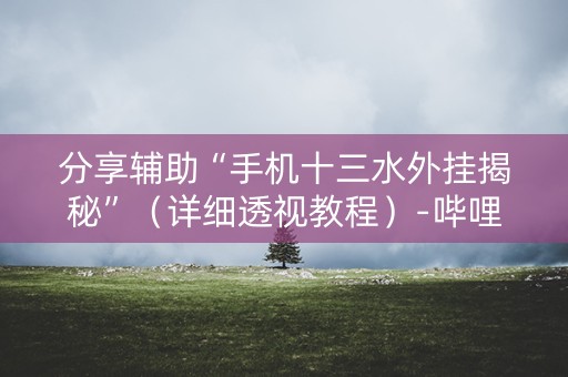 分享辅助“手机十三水外挂揭秘”（详细透视教程）-哔哩哔哩