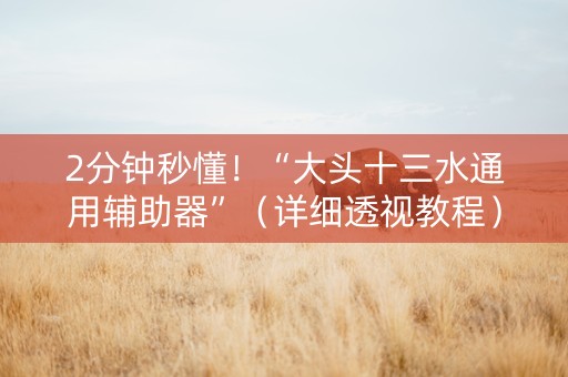 2分钟秒懂！“大头十三水通用辅助器”（详细透视教程）-哔哩哔哩