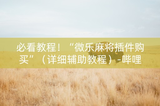 必看教程！“微乐麻将插件购买”（详细辅助教程）-哔哩哔哩