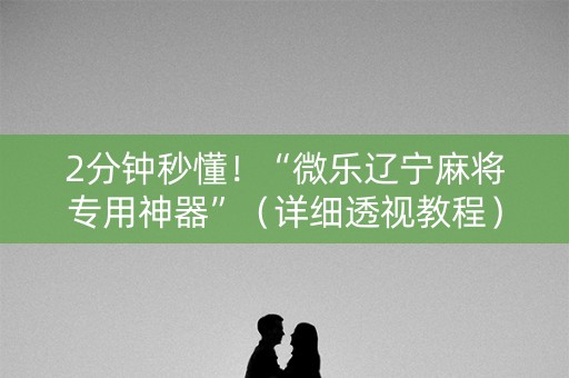 2分钟秒懂！“微乐辽宁麻将专用神器”（详细透视教程）-哔哩哔哩