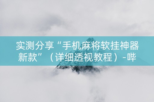 实测分享“手机麻将软挂神器新款”（详细透视教程）-哔哩哔哩