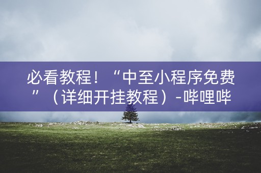 必看教程！“中至小程序免费”（详细开挂教程）-哔哩哔哩