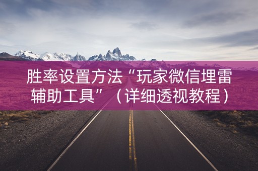 胜率设置方法“玩家微信埋雷辅助工具”（详细透视教程）-哔哩哔哩