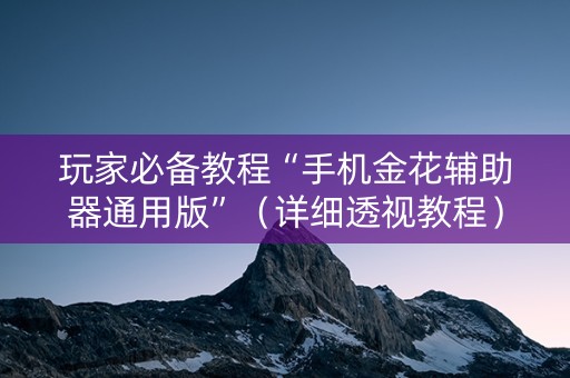 玩家必备教程“手机金花辅助器通用版”（详细透视教程）-哔哩哔哩