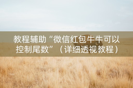 教程辅助“微信红包牛牛可以控制尾数”（详细透视教程）-哔哩哔哩