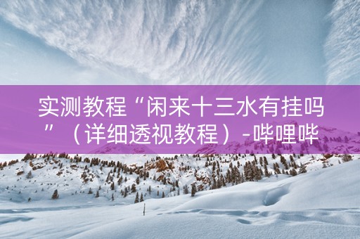 实测教程“闲来十三水有挂吗”（详细透视教程）-哔哩哔哩