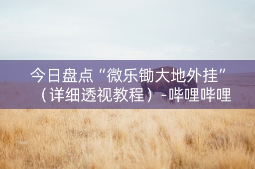 今日盘点“微乐锄大地外挂”（详细透视教程）-哔哩哔哩