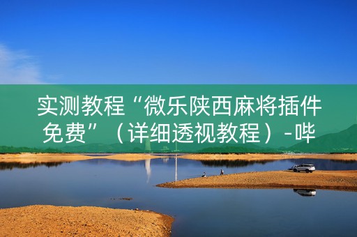 实测教程“微乐陕西麻将插件免费”（详细透视教程）-哔哩哔哩