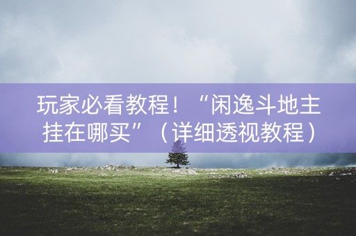 玩家必看教程！“闲逸斗地主挂在哪买”（详细透视教程）-哔哩哔哩