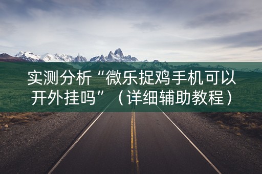 实测分析“微乐捉鸡手机可以开外挂吗”（详细辅助教程）-哔哩哔哩