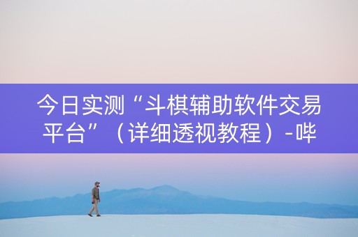 今日实测“斗棋辅助软件交易平台”（详细透视教程）-哔哩哔哩