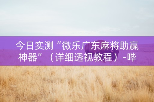 今日实测“微乐广东麻将助赢神器”（详细透视教程）-哔哩哔哩