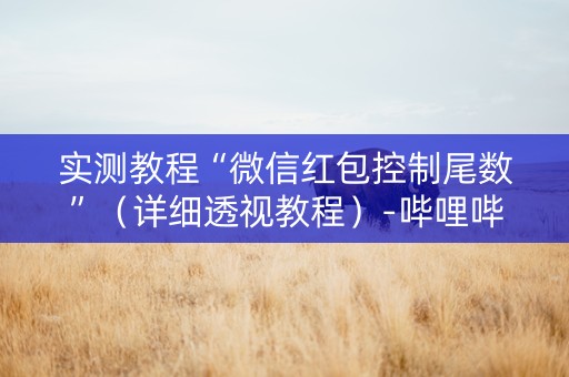 实测教程“微信红包控制尾数”（详细透视教程）-哔哩哔哩