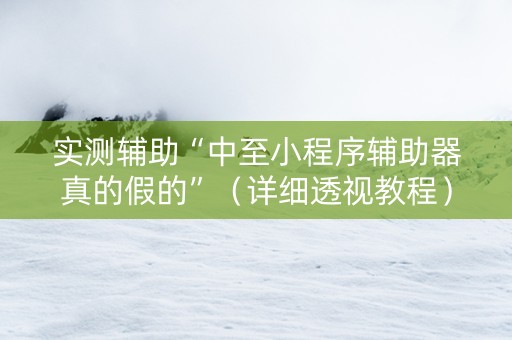 实测辅助“中至小程序辅助器真的假的”（详细透视教程）-哔哩哔哩
