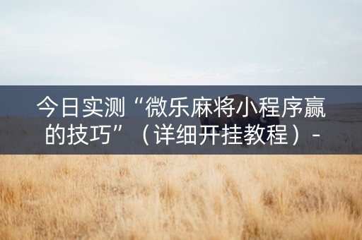 今日实测“微乐麻将小程序赢的技巧”（详细开挂教程）-哔哩哔哩
