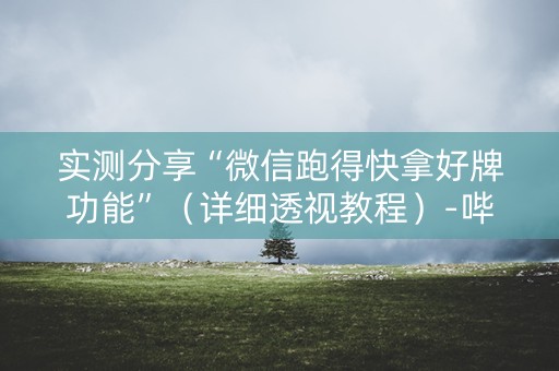 实测分享“微信跑得快拿好牌功能”（详细透视教程）-哔哩哔哩