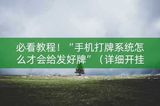 必看教程！“手机打牌系统怎么才会给发好牌”（详细开挂教程）-哔哩哔哩