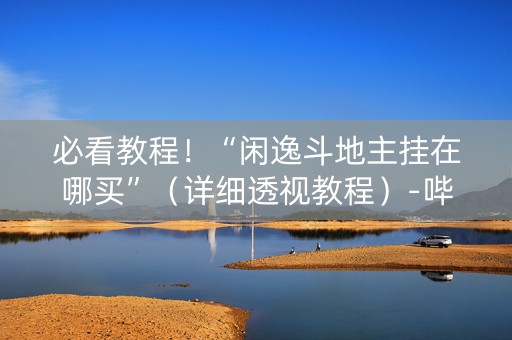 必看教程！“闲逸斗地主挂在哪买”（详细透视教程）-哔哩哔哩